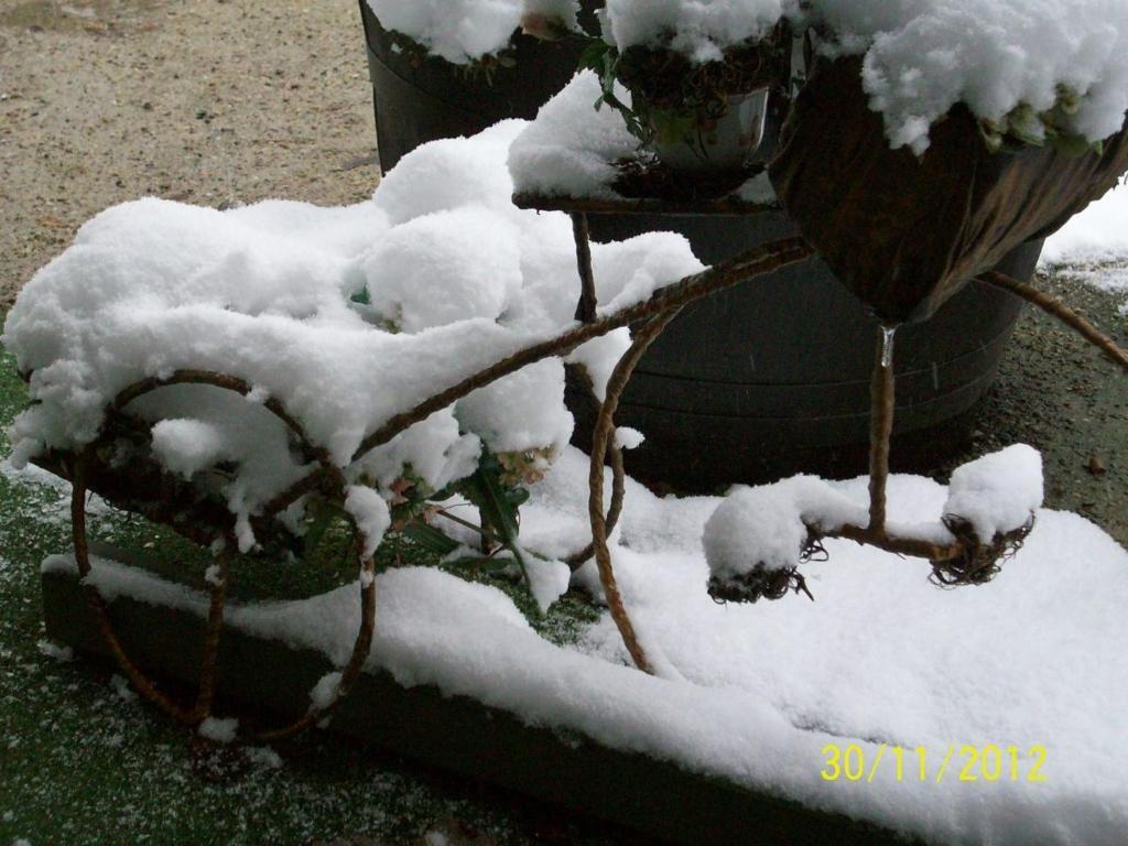 Zum Fliegenden Hollander Guest House ซวีเซิล ห้อง รูปภาพ
